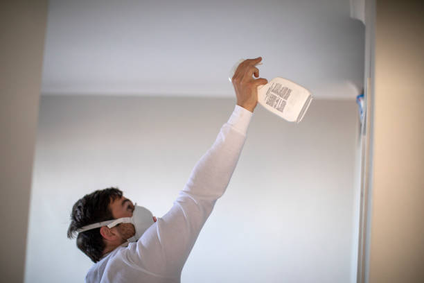 Mold Removal and Inspection in Monmouth Beach, NJ
