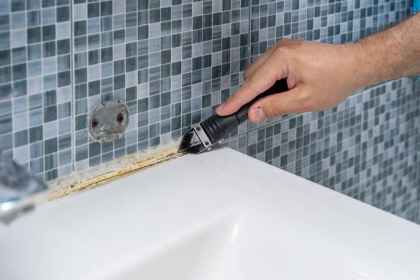 Best Mold Remediation  in Monmouth Beach, NJ